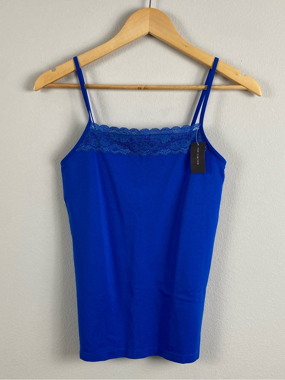 The Limited Lace Embroidered Seamless Camisole | Blue
